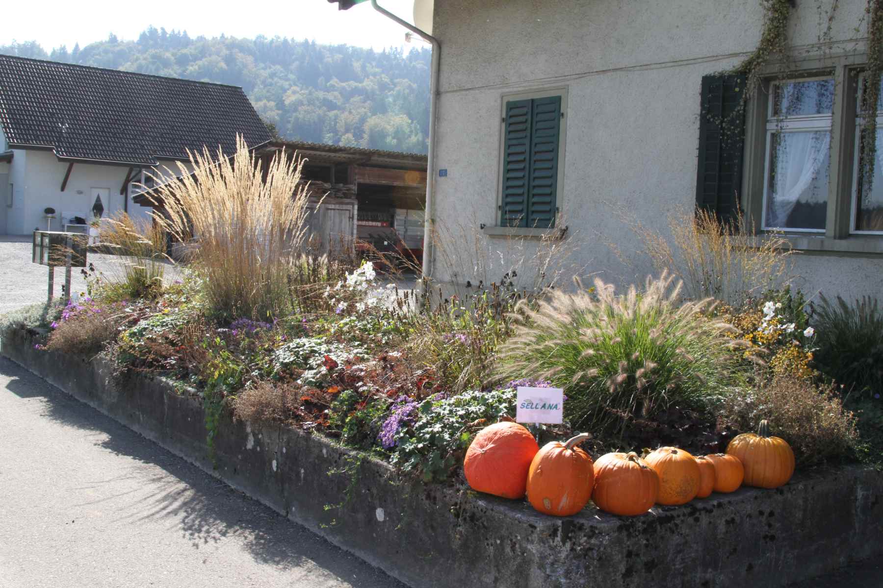 Sellana Pflanzenziegel beim Verlegen
