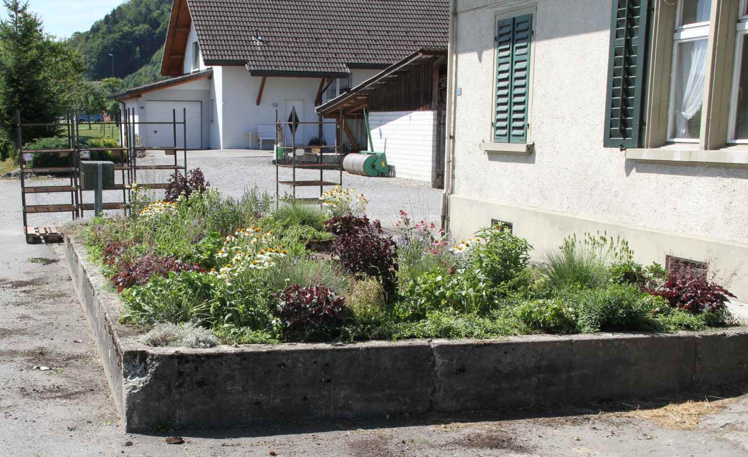 Sellana Pflanzenziegel beim Verlegen